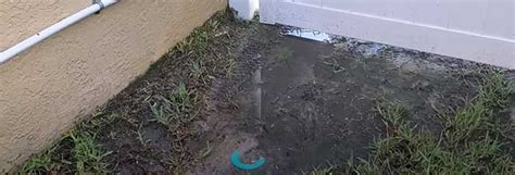 septic tank leaking into yard|Septic Tank Water Pooling In Yard: Reasons And。